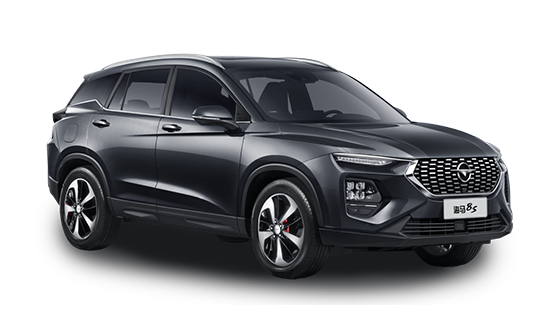 Haima 8S